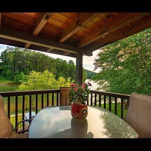 Meet your Posher, Judy